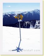 skitour-griessenkar (64) * 2616 x 3488 * (808KB)