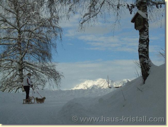 Nächstes Bild