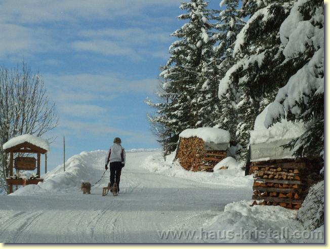 Nächstes Bild