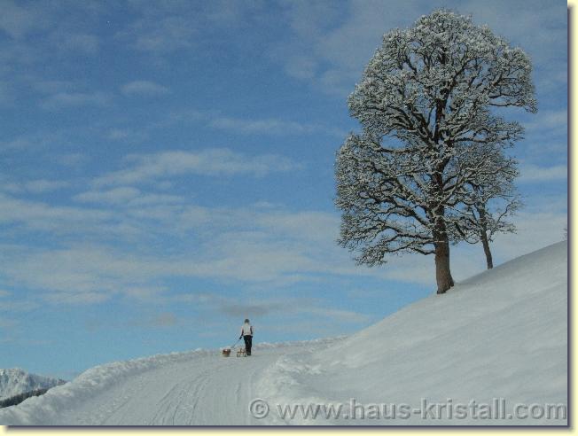 Nächstes Bild