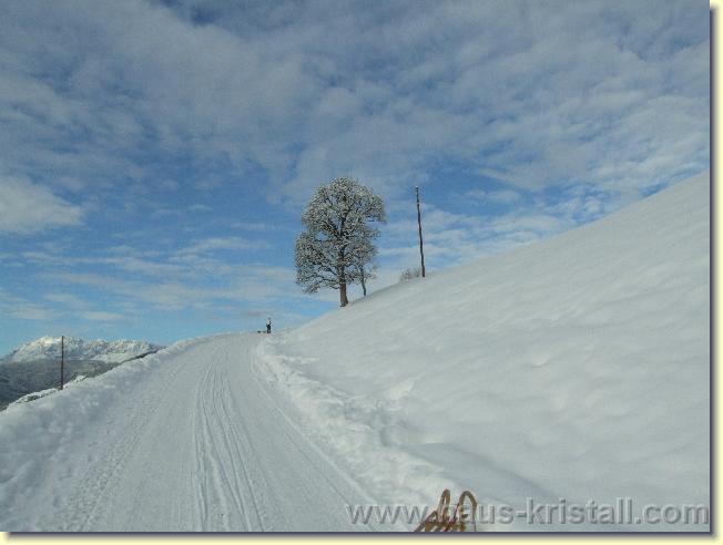 Nächstes Bild